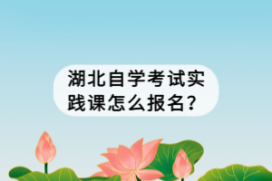 湖北自學考試實踐課怎么報名？
