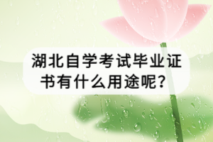 湖北自學考試畢業(yè)證書有什么用途呢？