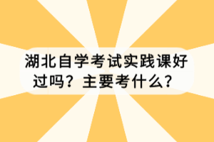 湖北自學考試實踐課好過嗎？主要考什么？
