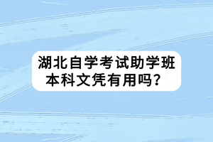 湖北自學(xué)考試助學(xué)班本科文憑有用嗎？