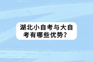 湖北小自考與大自考有哪些優(yōu)勢？