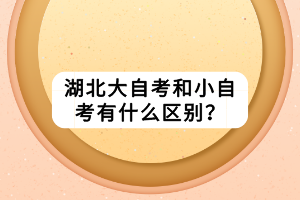 湖北大自考和小自考有什么區(qū)別？