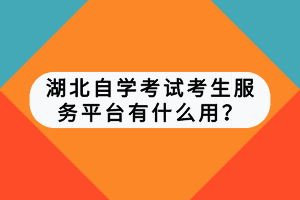 湖北自學(xué)考試考生服務(wù)平臺(tái)有什么用？