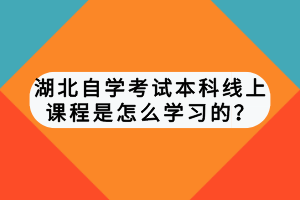 湖北自學(xué)考試本科線上課程是怎么學(xué)習(xí)的？