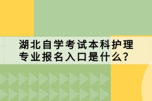 湖北自學(xué)考試本科護理專業(yè)報名入口是什么？