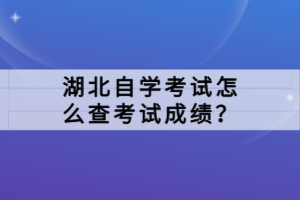 湖北自學(xué)考試怎么查考試成績(jī)？