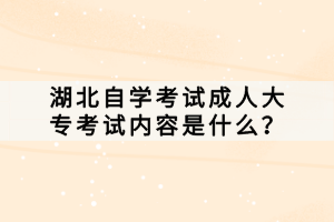 湖北自學(xué)考試成人大專考試內(nèi)容是什么？