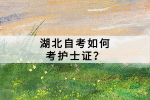 湖北自學考試如何考護士證？
