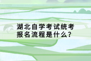 湖北自學考試統(tǒng)考報名流程是什么？