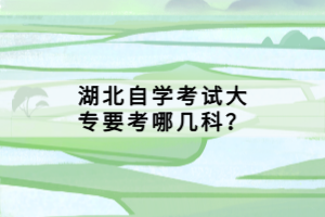 湖北自學考試大專要考哪幾科？