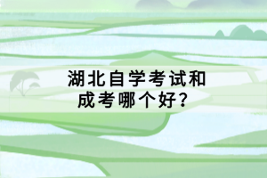 湖北自學(xué)考試和成考哪個(gè)好？
