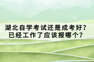 湖北自學考試還是成考好？已經(jīng)工作了應該報哪個？
