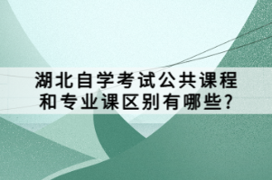 湖北自學考試公共課程和專業(yè)課區(qū)別有哪些？