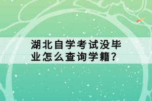 湖北自學(xué)考試沒畢業(yè)怎么查詢學(xué)籍？