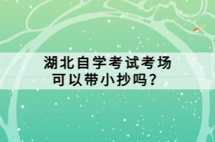 湖北自學(xué)考試考場可以帶小抄嗎？