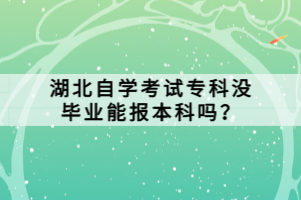 湖北自學(xué)考試?？茮]畢業(yè)能報(bào)本科嗎？