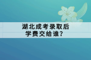 湖北自學考試考試考場的查詢方法和其他省一樣嗎？