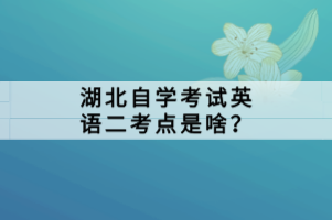 湖北自學考試英語二考點是啥？