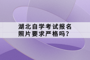 湖北自學考試報名照片要求嚴格嗎？