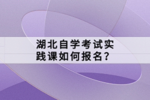 湖北自學(xué)考試實踐課如何報名？