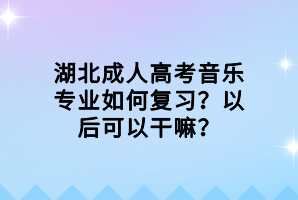 湖北成人高考音樂(lè)專業(yè)如何復(fù)習(xí)？以后可以干嘛？