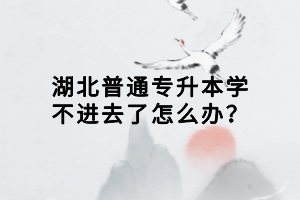 湖北普通專升本學(xué)不進(jìn)去了怎么辦？