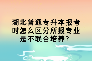 湖北普通專(zhuān)升本報(bào)考時(shí)怎么區(qū)分所報(bào)專(zhuān)業(yè)是不聯(lián)合培養(yǎng)？