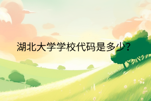 湖北大學(xué)學(xué)校代碼是多少？