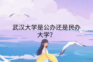武漢大學是公辦還是民辦大學？