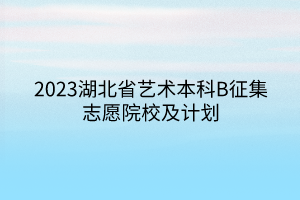 2023湖北省藝術(shù)本科B征集志愿院校及計劃