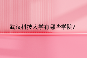 武漢科技大學(xué)有哪些學(xué)院？