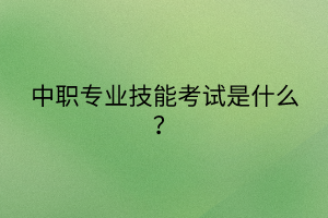 中職專(zhuān)業(yè)技能考試是什么？