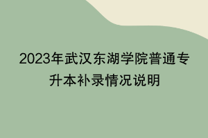 2023年武漢東湖學(xué)院普通專升本補(bǔ)錄情況說明