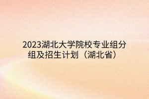 2023湖北大學(xué)院校專業(yè)組分組及招生計(jì)劃（湖北?。? width=