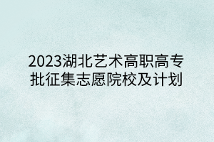 2023湖北藝術(shù)高職高專批征集志愿院校及計(jì)劃