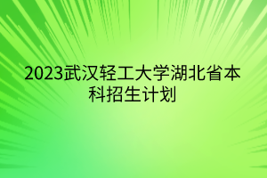 2023武漢輕工大學(xué)湖北省本科招生計劃