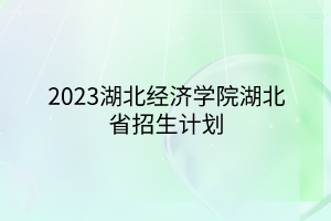 2023湖北經濟學院湖北省招生計劃