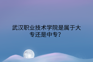 武漢職業(yè)技術(shù)學(xué)院是屬于大專還是中專？
