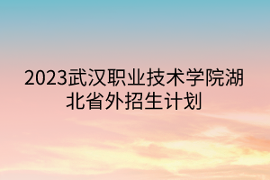 2023武漢職業(yè)技術(shù)學(xué)院湖北省外招生計劃