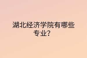 湖北經(jīng)濟學院有哪些專業(yè)？
