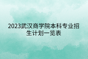 2023武漢商學(xué)院本科專(zhuān)業(yè)招生計(jì)劃一覽表