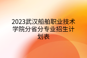 2023武漢船舶職業(yè)技術(shù)學(xué)院分省分專業(yè)招生計劃表