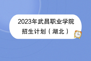 2023年武昌職業(yè)學(xué)院招生計劃（湖北）