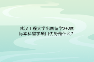武漢工程大學(xué)出國(guó)留學(xué)2+2國(guó)際本科留學(xué)項(xiàng)目?jī)?yōu)勢(shì)是什么？