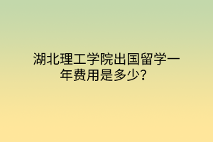 湖北理工學(xué)院出國留學(xué)一年費用是多少？