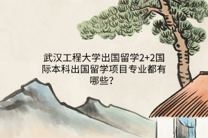 武漢工程大學(xué)出國留學(xué)2+2國際本科出國留學(xué)項目專業(yè)都有哪些？