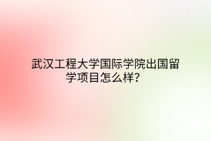 武漢工程大學(xué)國際學(xué)院出國留學(xué)項(xiàng)目怎么樣？