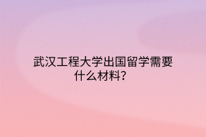 武漢工程大學(xué)出國(guó)留學(xué)需要什么材料？