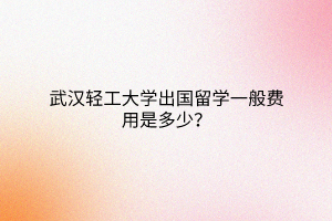 武漢輕工大學出國留學一般費用是多少？