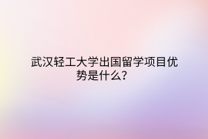 武漢輕工大學(xué)出國(guó)留學(xué)項(xiàng)目?jī)?yōu)勢(shì)是什么？